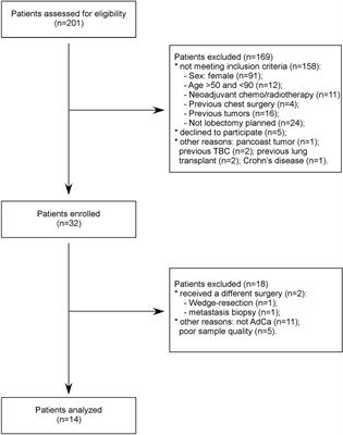 An EBC/Plasma miRNA Signature Discriminates Lung Adenocarcinomas From Pleural Mesothelioma and Healthy Controls